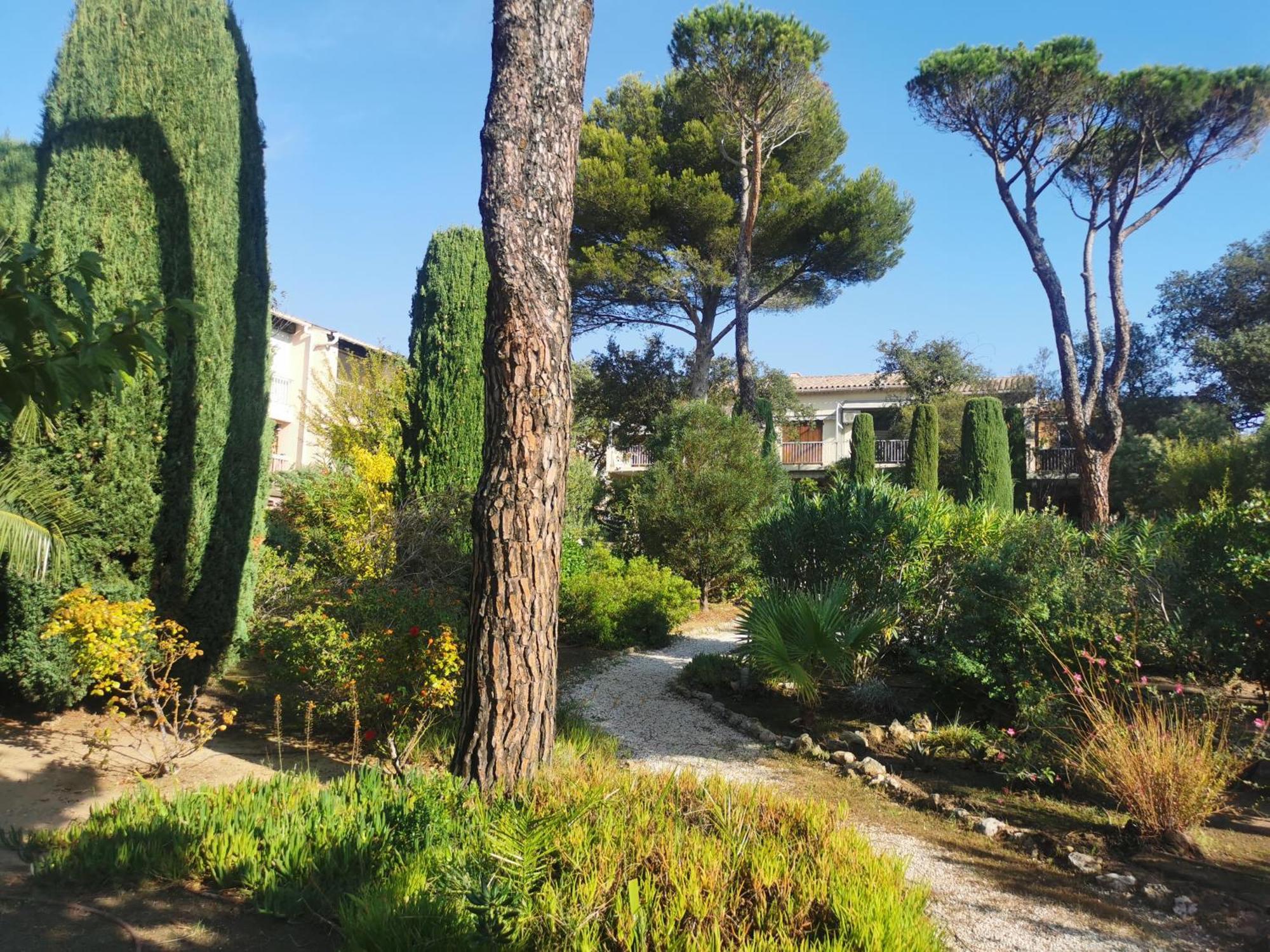 Coquillages Et Crustaces Appartement Saint Aygulf Buitenkant foto