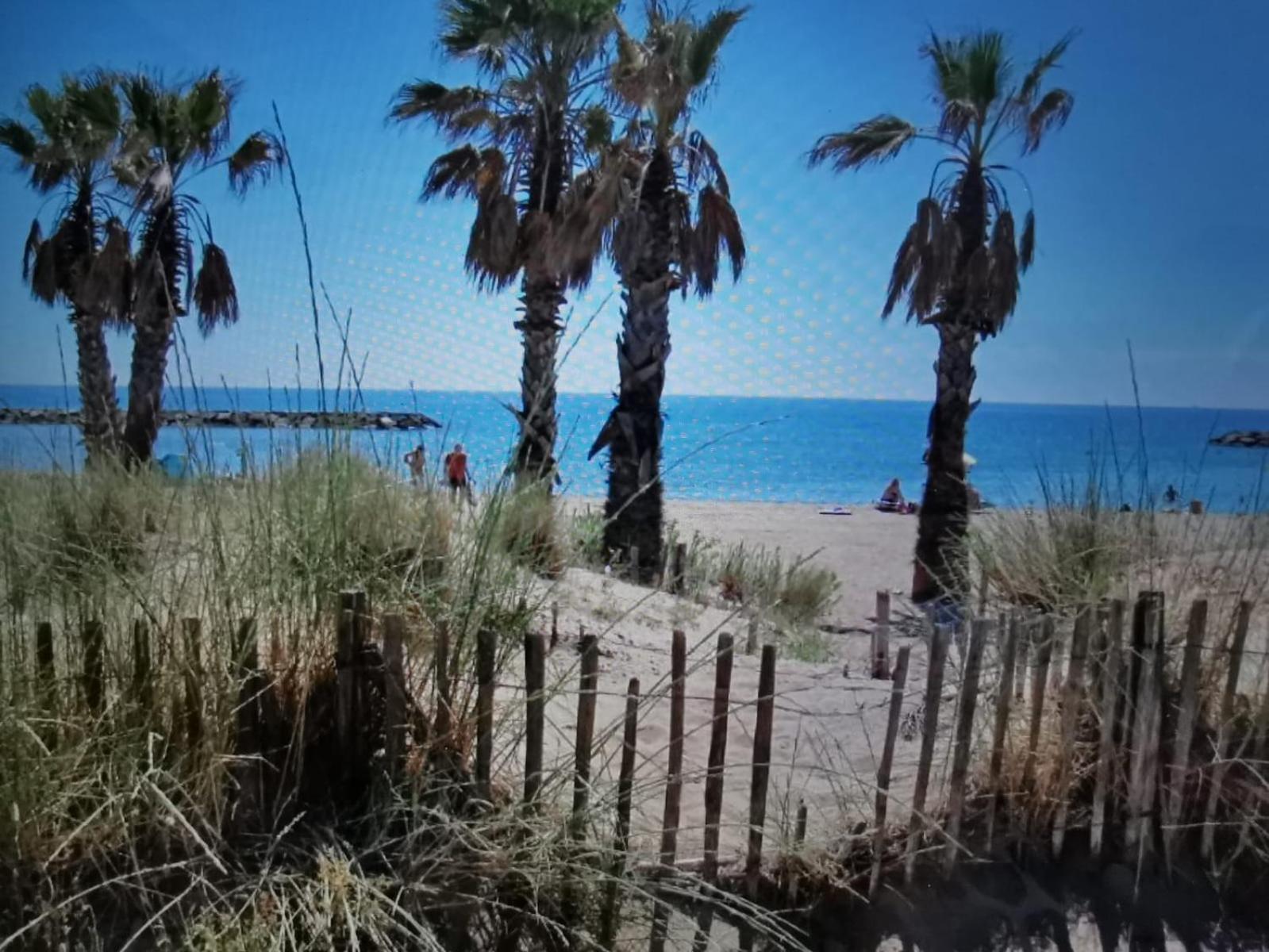 Coquillages Et Crustaces Appartement Saint Aygulf Buitenkant foto